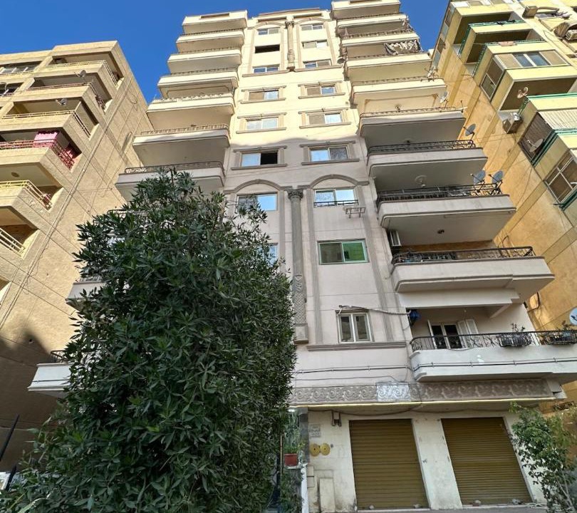Photo of Others in Nasr City