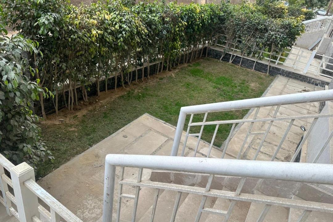 Photo of Others in Madinaty