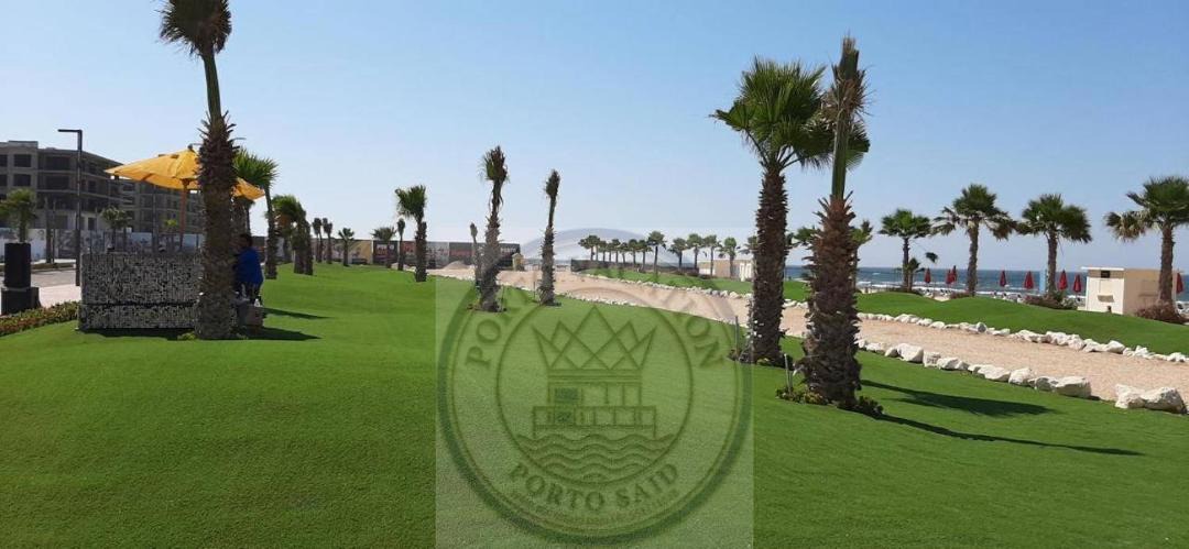 Photo of Others in Al-Manasrah