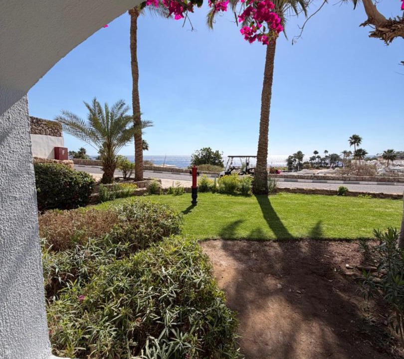 Photo of Others in Sharm El Sheikh