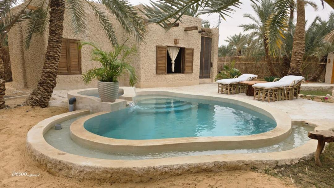Photo of Others in Siwa