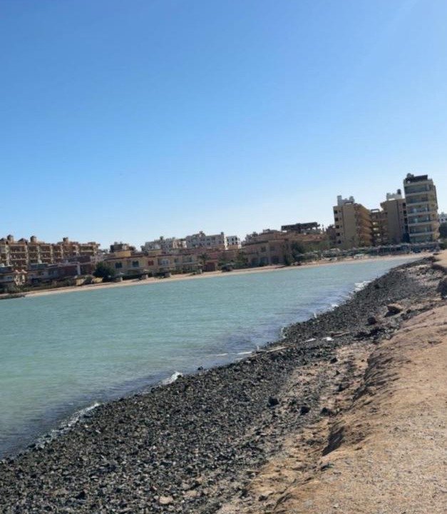 Photo of Others in Al Ahyaa