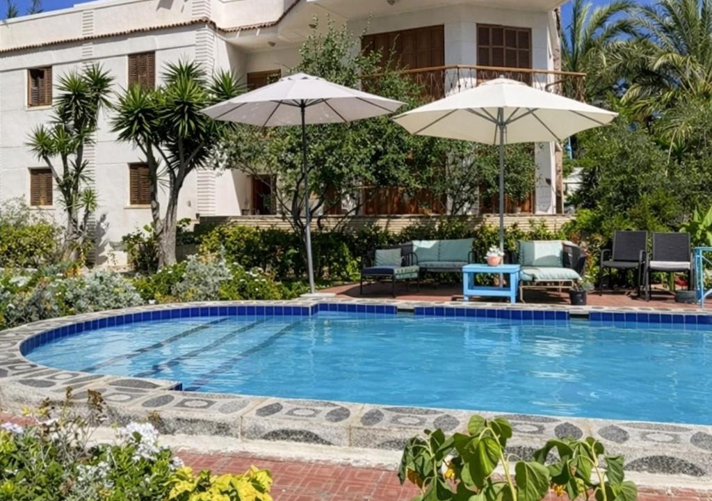 Photo of Others in Al-'Amriyah