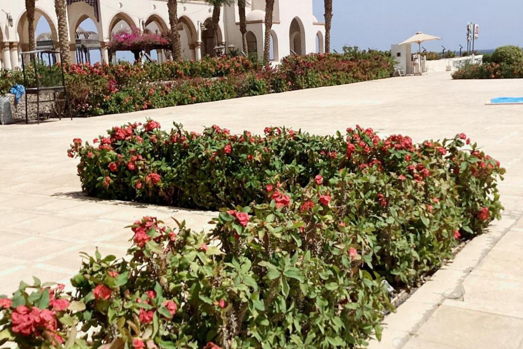 Photo of Others in Sahl Hasheeh