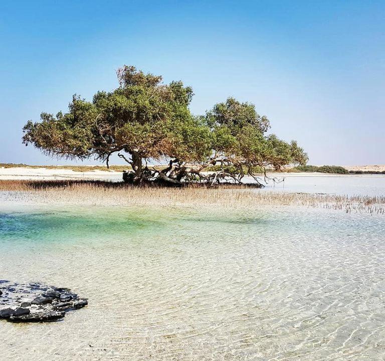 Photo of Others in Marsa Alam