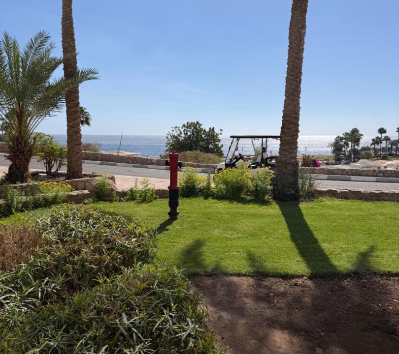 Photo of Others in Sharm El Sheikh