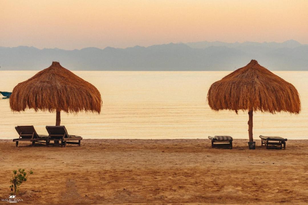 Photo of Others in Nuweiba