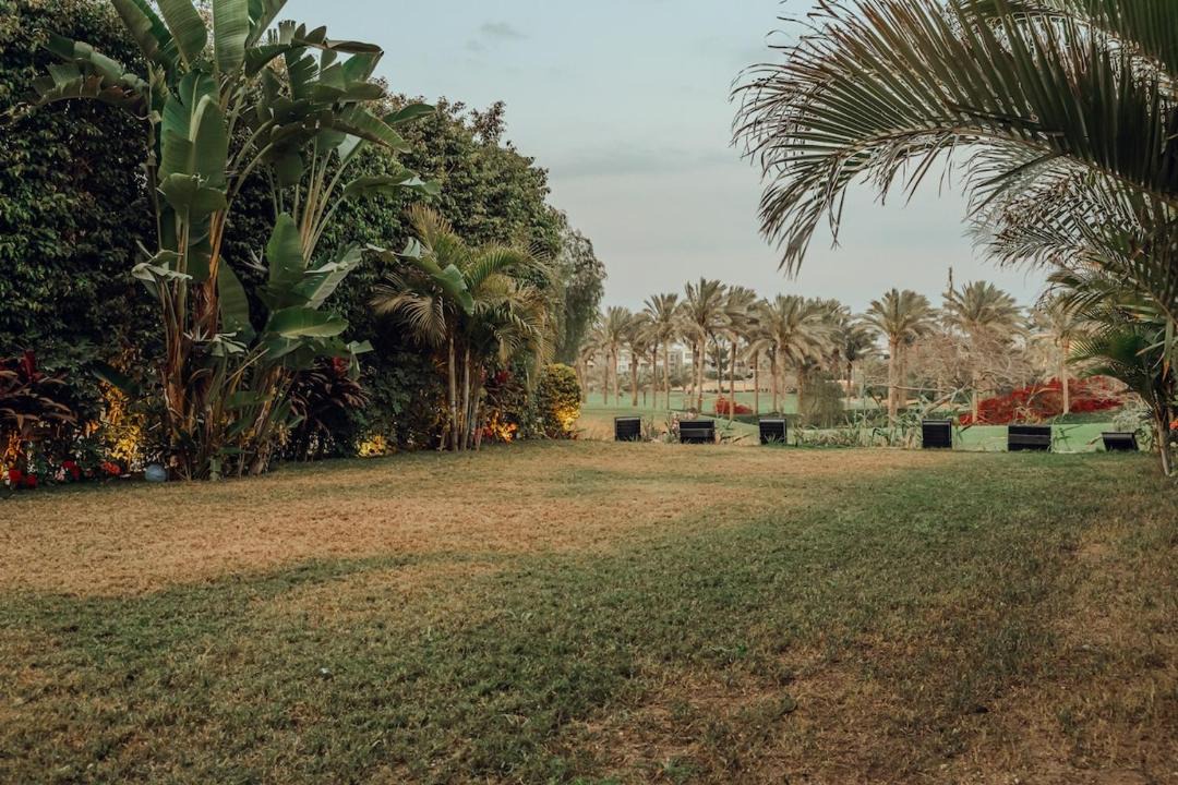 Photo of Others in New Cairo