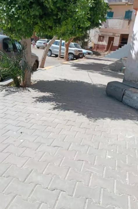 Photo of Others in Edfu