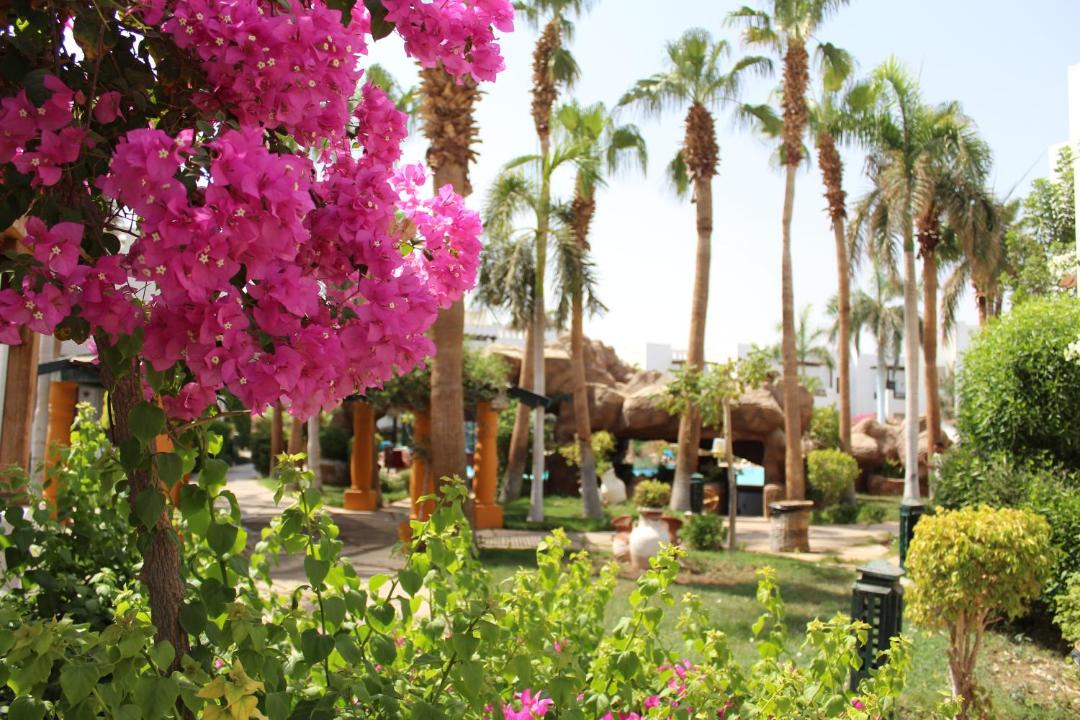 Photo of Others in El Hadaba