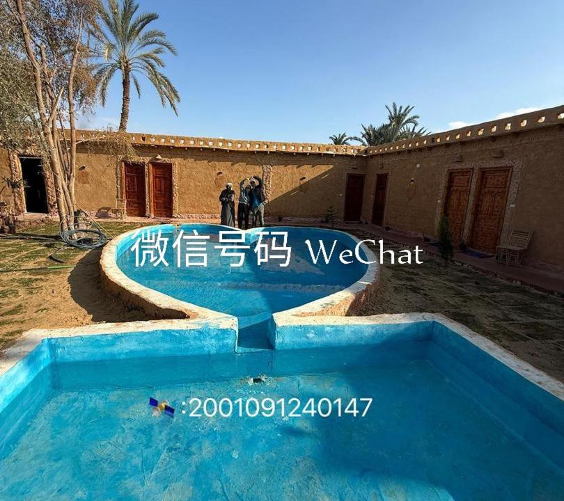 Photo of Others in Siwa
