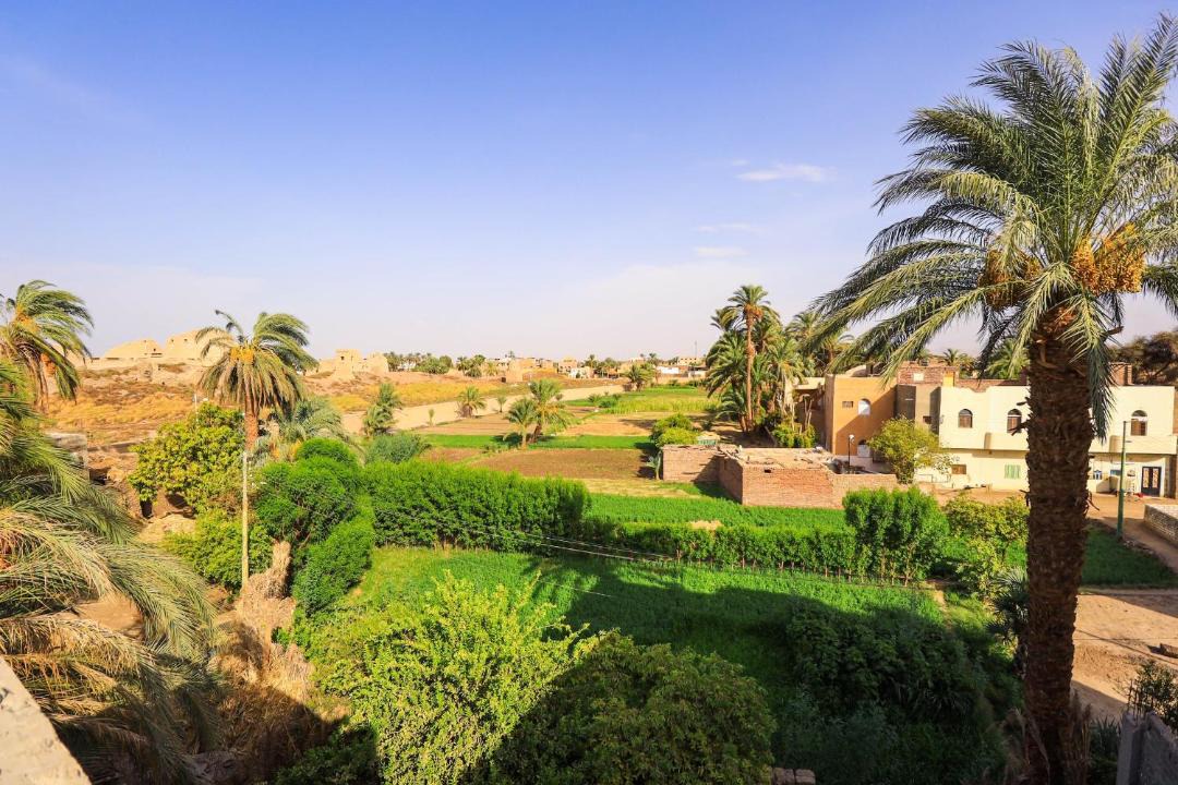 Photo of Others in Luxor