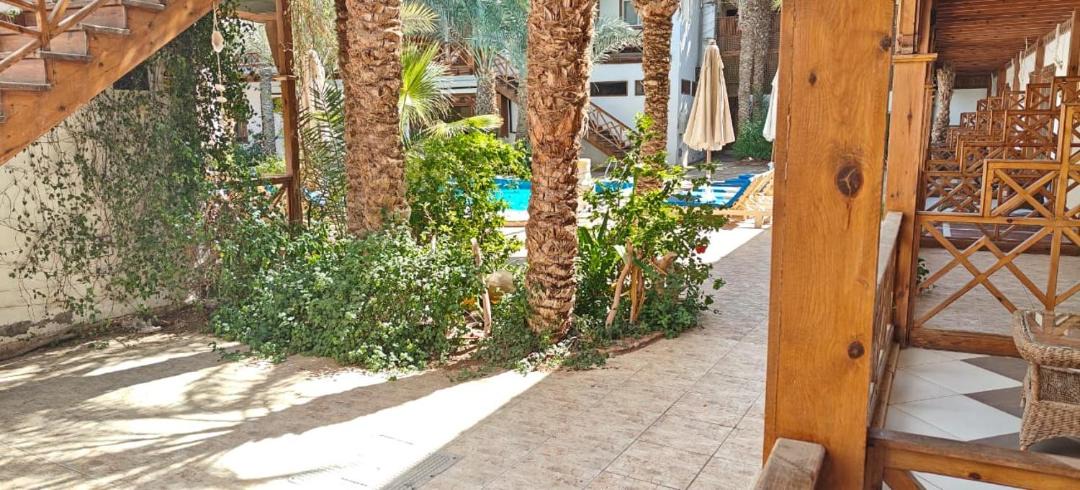 Photo of Others in Dahab