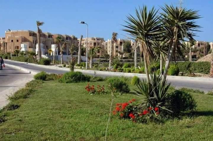 Photo of Others in Marsa Matruh