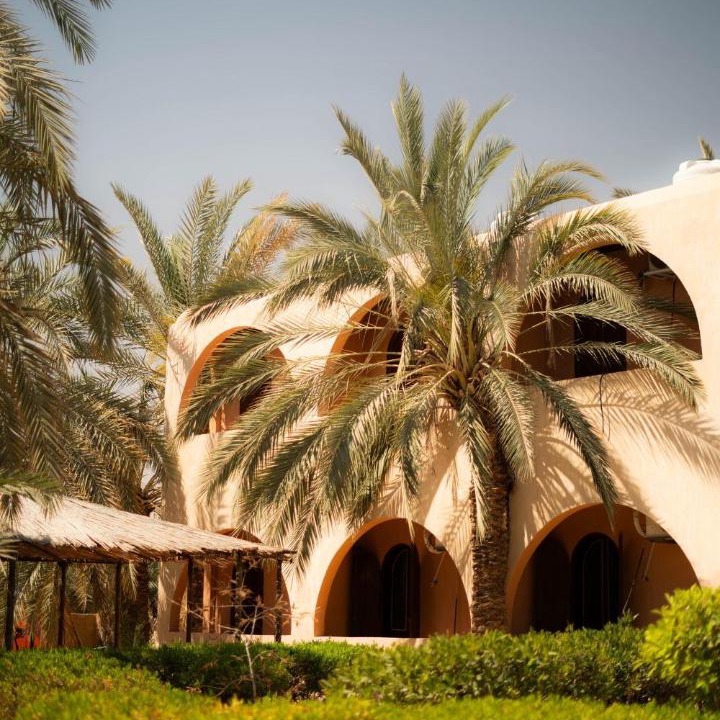 Photo of Others in Siwa