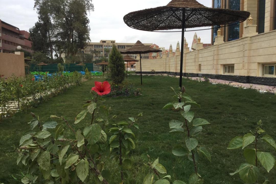 Photo of Others in Beni Suef