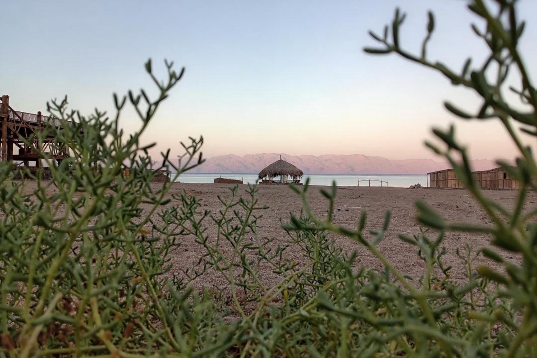 Photo of Others in Dahab