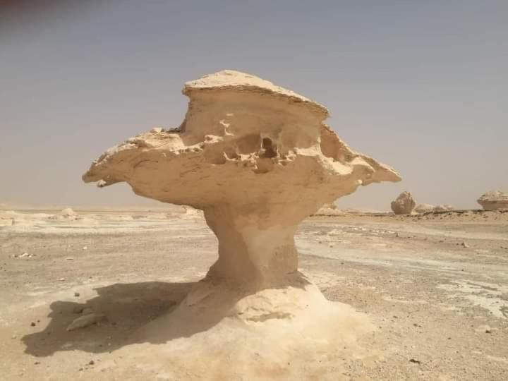 Photo of Others in Bawati