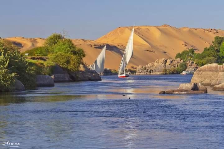 Photo of Others in Aswan