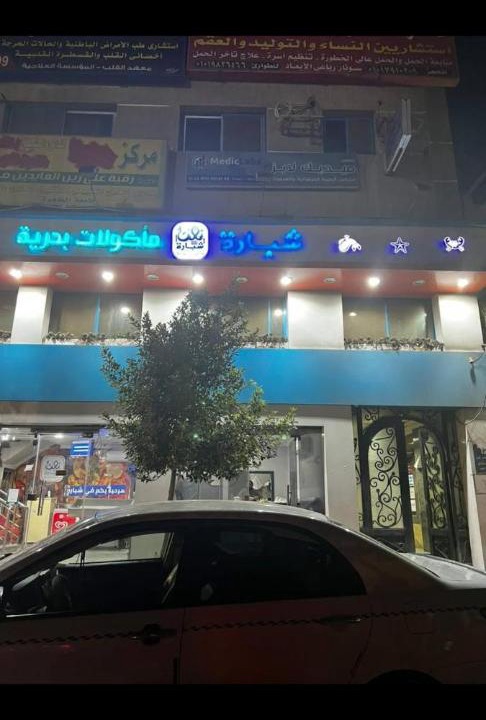 Photo of Others in Zamalek