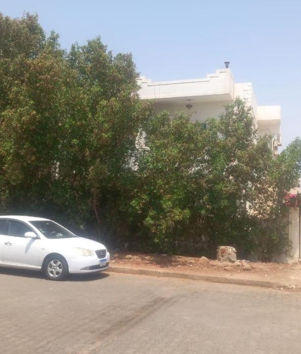 Photo of Others in El Hadaba