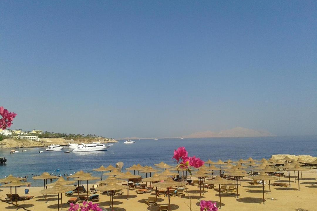 Photo of Others in Sharm El Sheikh