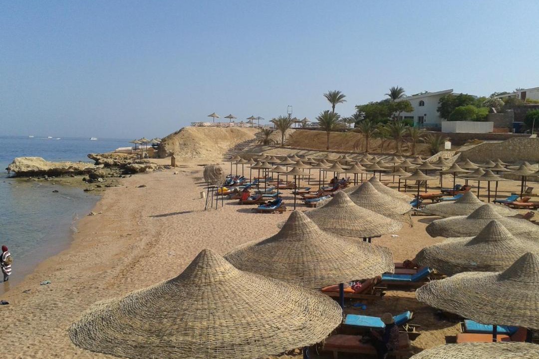 Photo of Others in Sharm El Sheikh