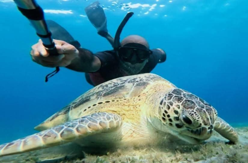 Photo of Others in Port Ghalib
