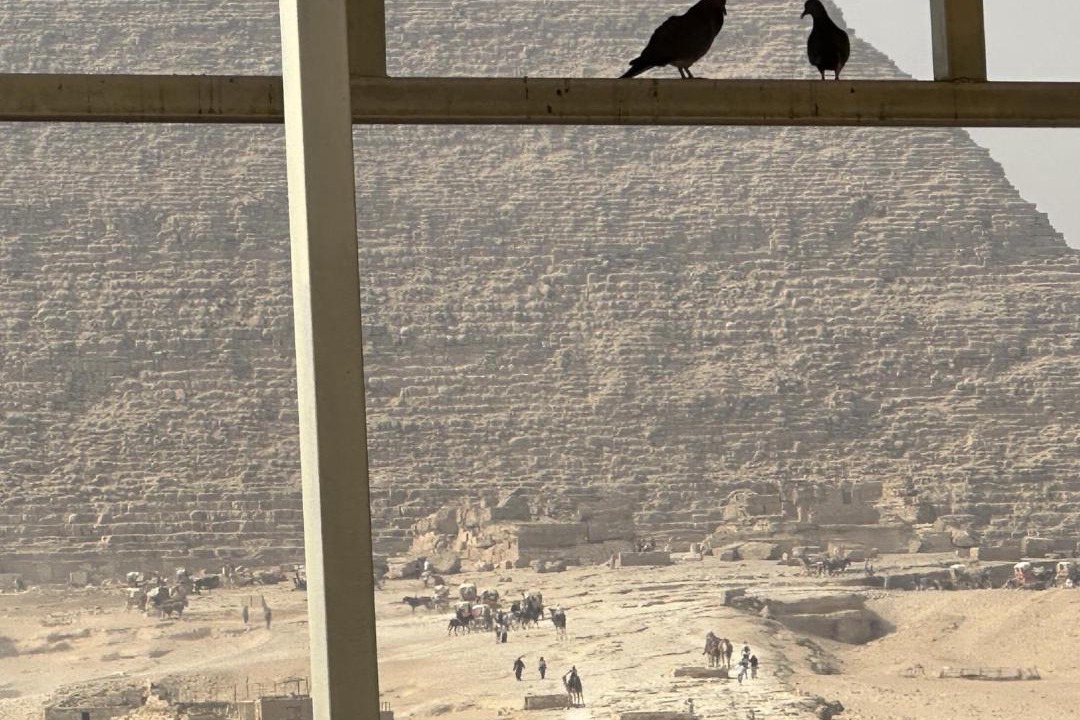 Photo of Others in Giza