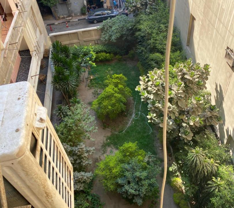 Photo of Others in Gezira