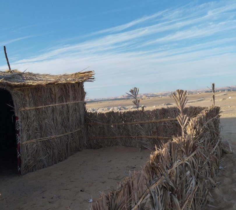 Photo of Others in Siwa