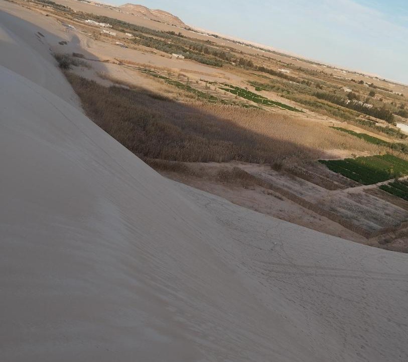 Photo of Others in Siwa