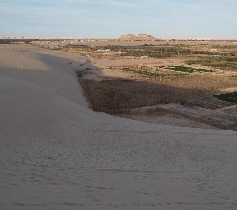 Photo of Others in Siwa