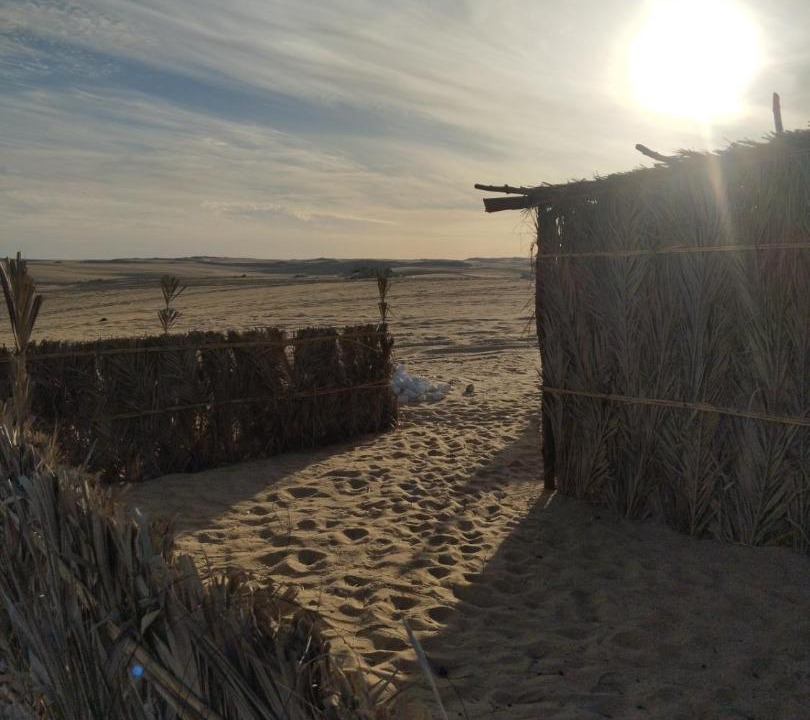 Photo of Others in Siwa