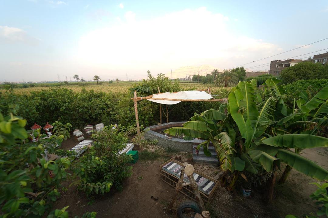 Photo of Others in Luxor