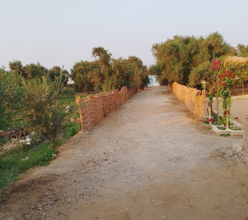Photo of Others in Yusuf as-Sidiq