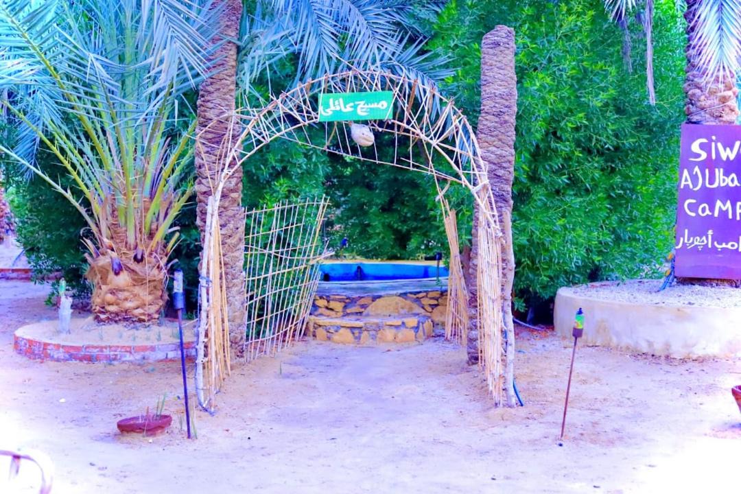 Photo of Others in Siwa