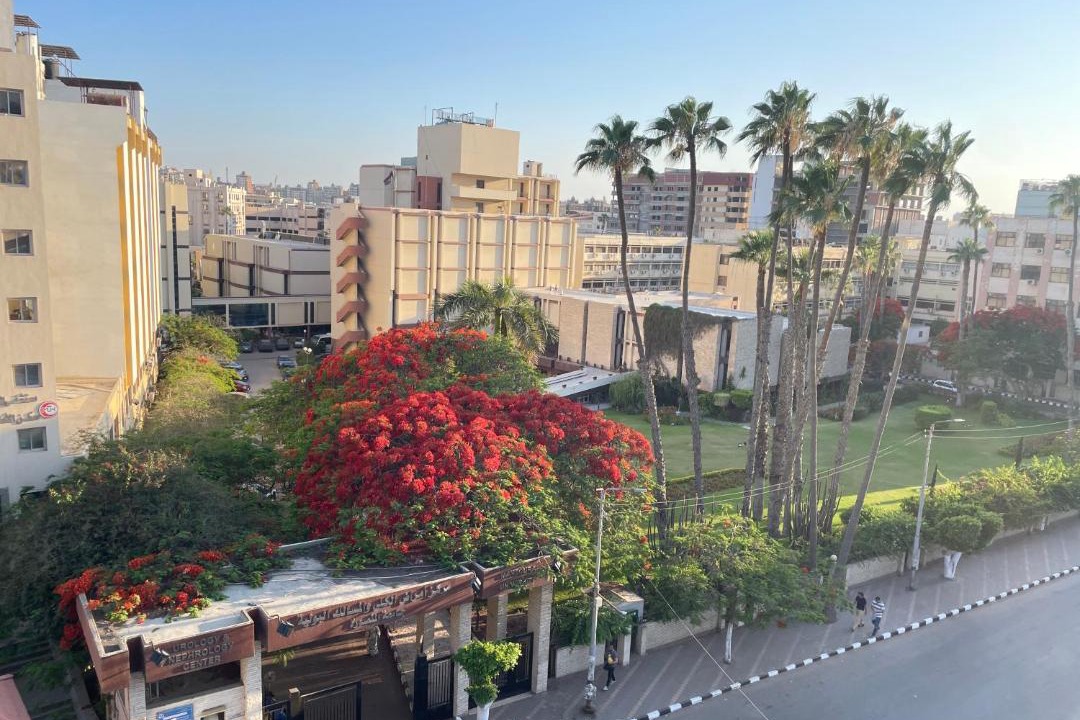 Photo of Others in Mansoura
