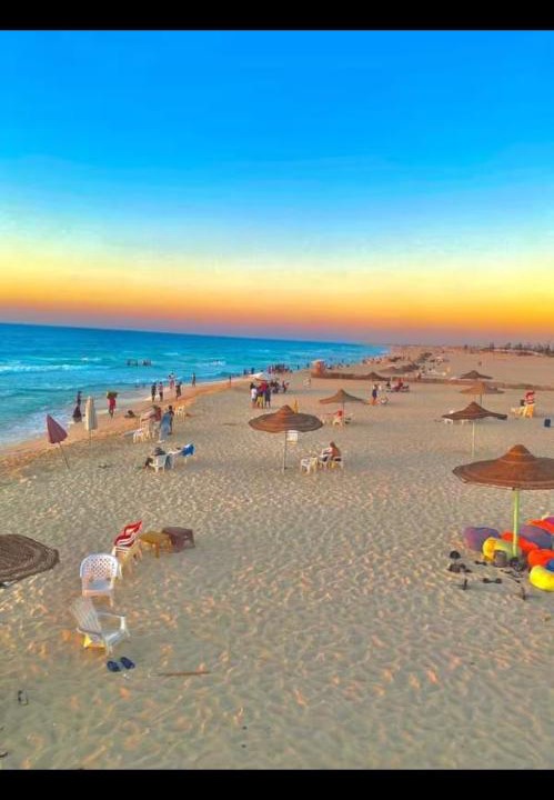 Photo of Others in Borg el Arab