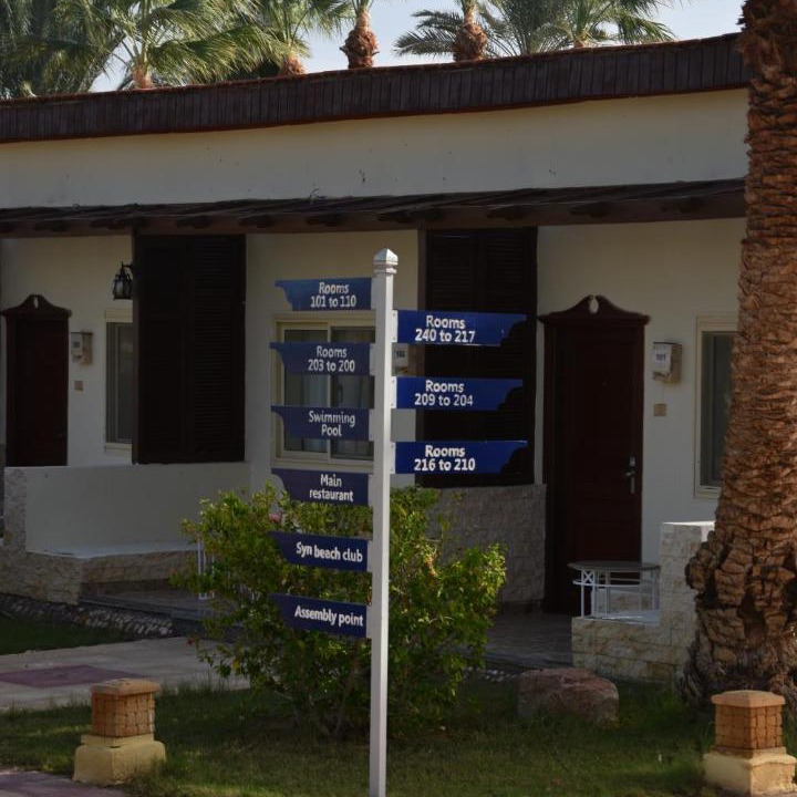 Photo of Others in Nuweiba