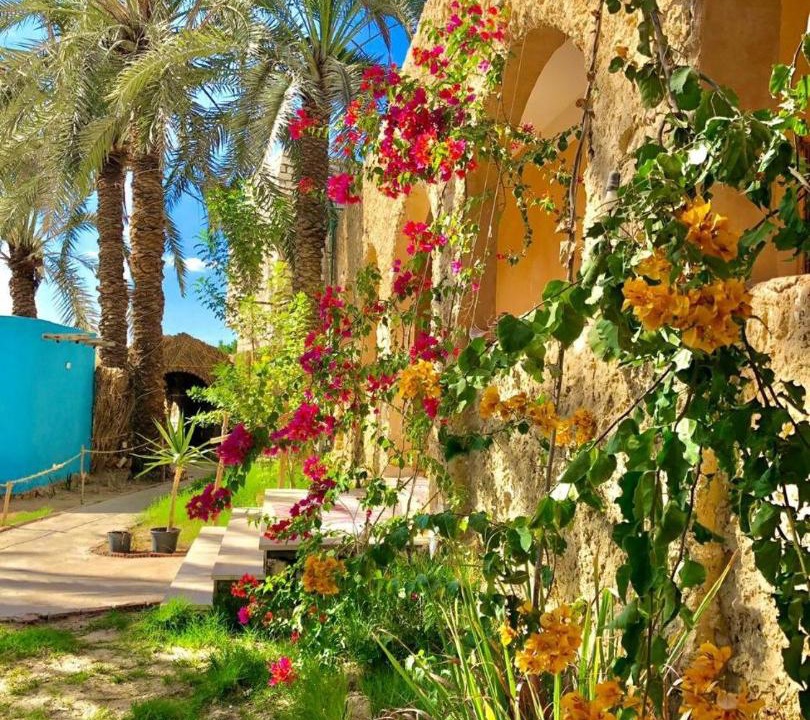 Photo of Others in Siwa