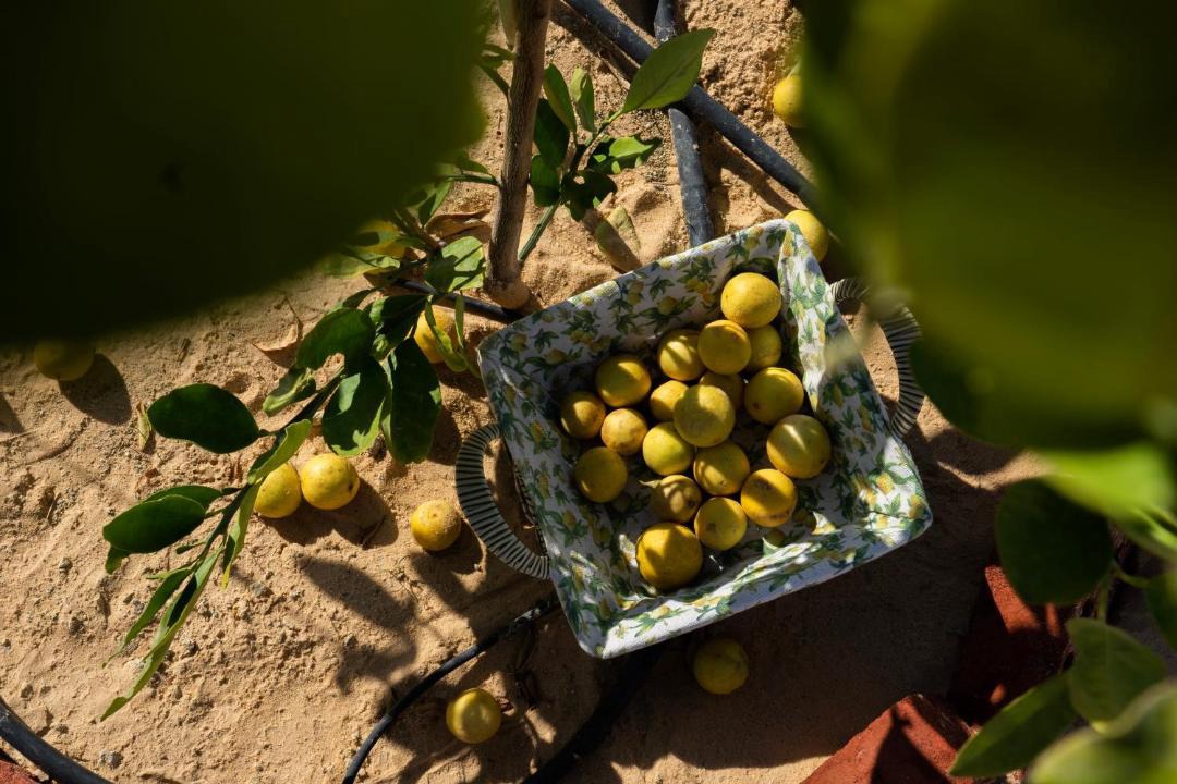 Photo of Others in Siwa