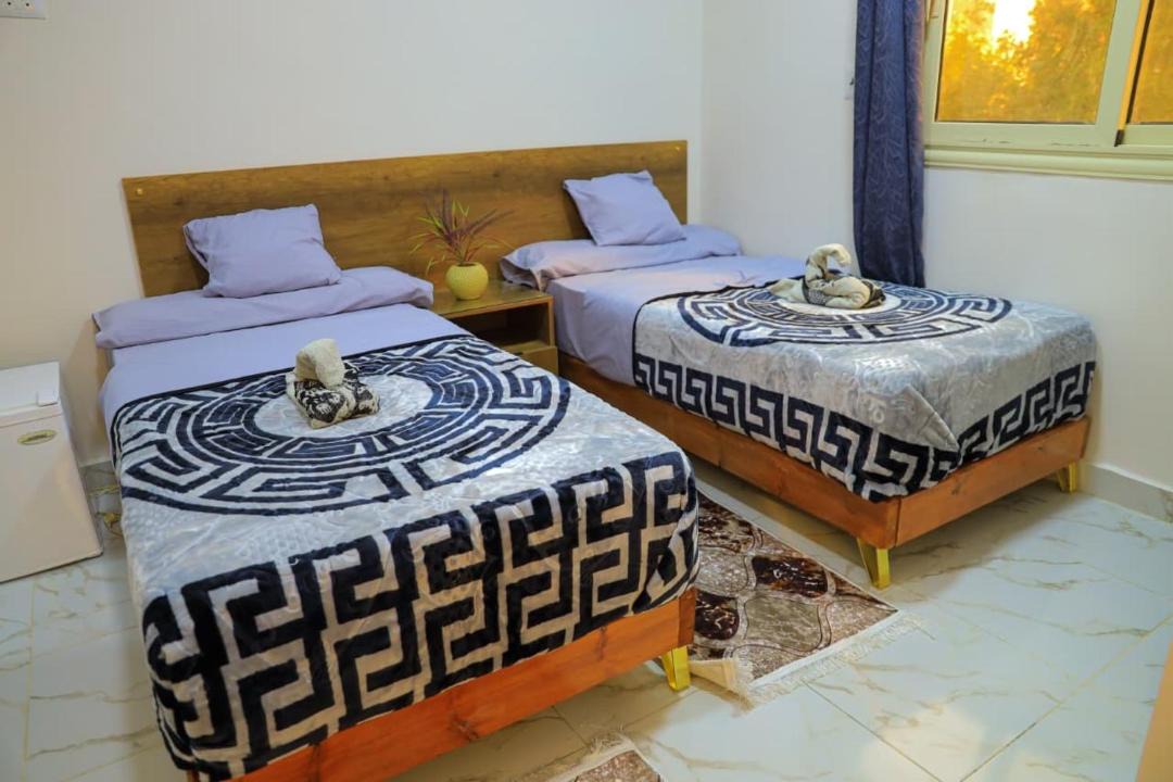 Photo of Others in Aswan