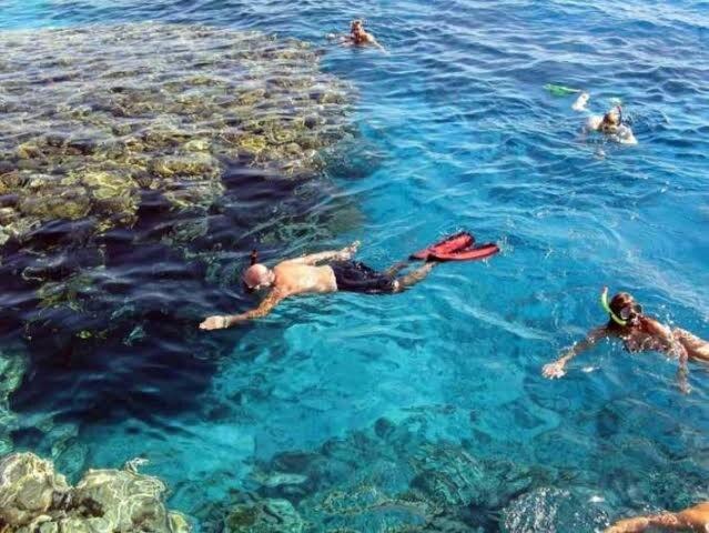 Photo of Others in Makadi Bay