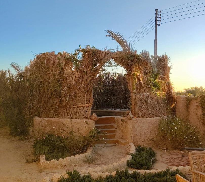 Photo of Others in Siwa