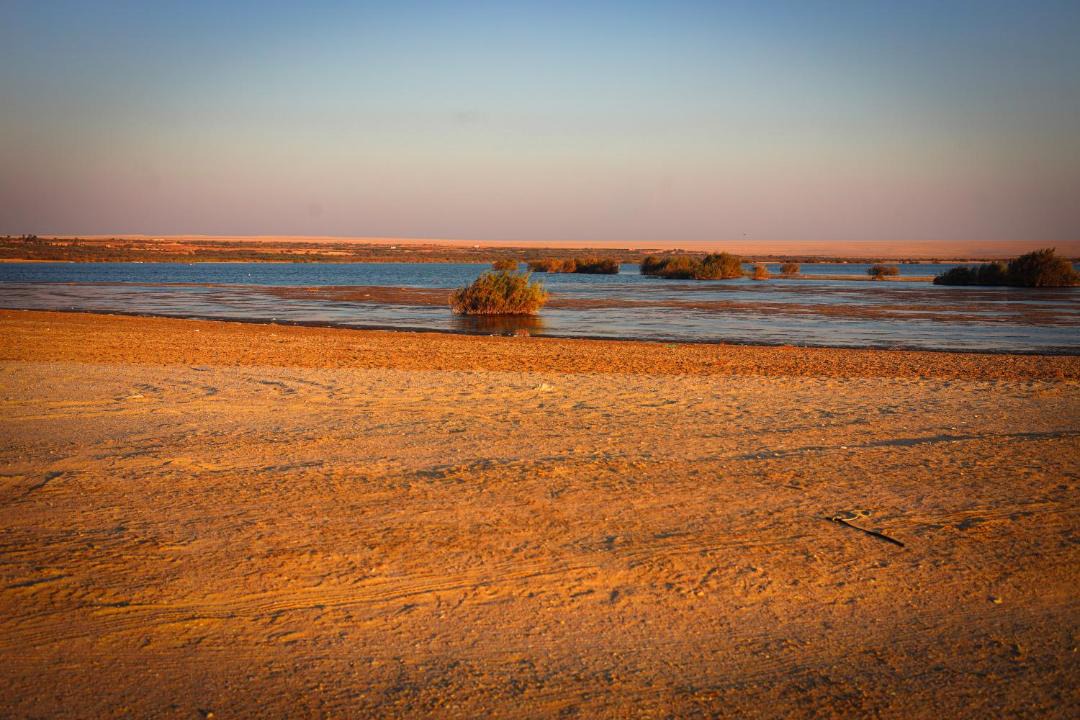 Photo of Others in Al Fayoum