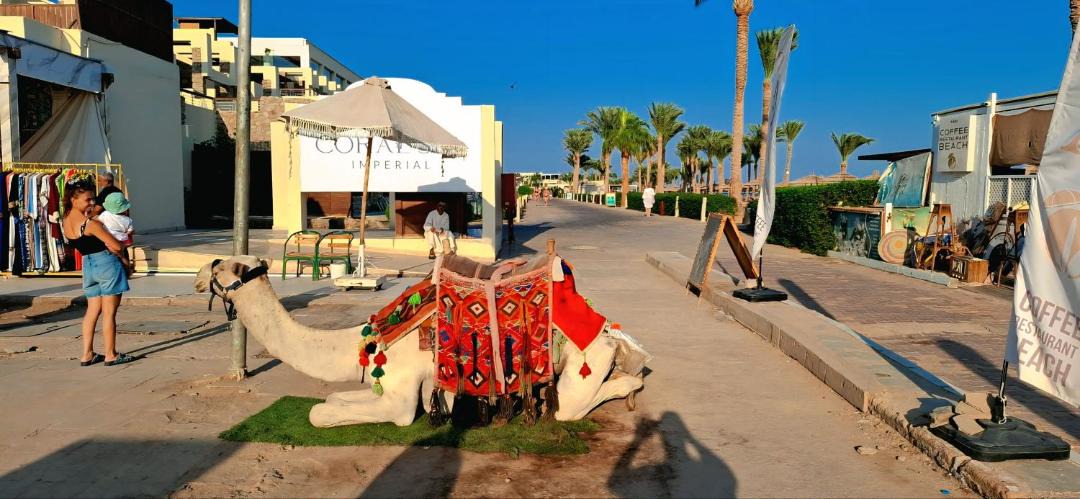 Photo of Others in Ras Nasrani