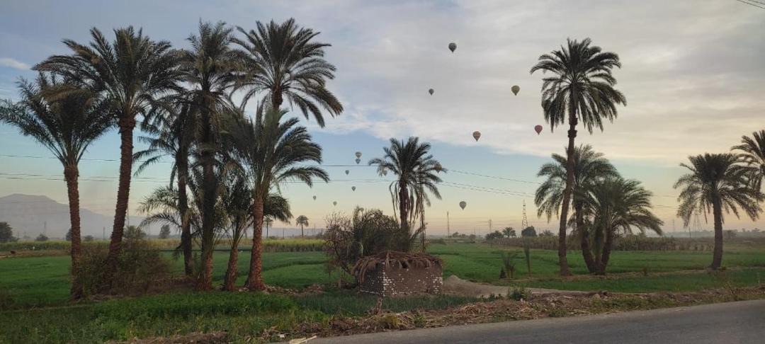 Photo of Others in Luxor