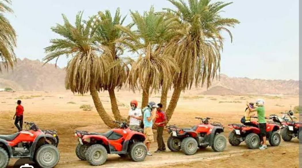 Photo of Others in Luxor