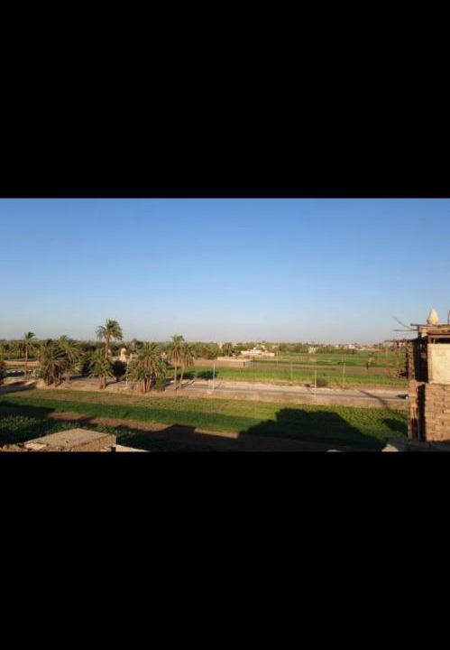 Photo of Others in Luxor